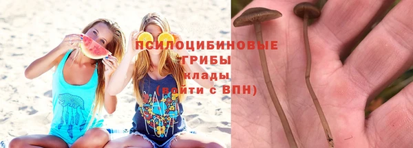 прущие крисы Белокуриха