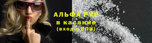 спайс Богданович