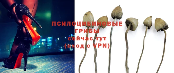 прущие крисы Белокуриха