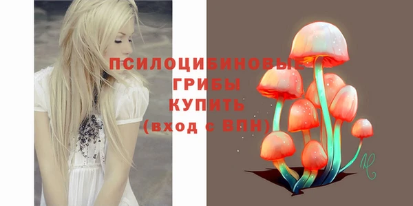 спайс Богданович
