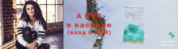 прущие крисы Белокуриха