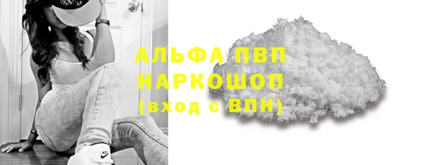 спайс Богданович