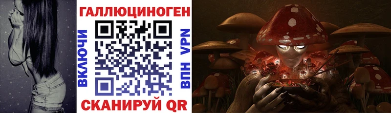 мега рабочий сайт  Богородицк  Псилоцибиновые грибы Cubensis 
